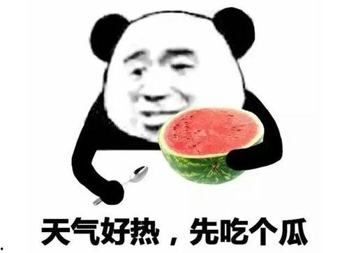 吃瓜表情包怎么回复别人,轻松回应，幽默互动