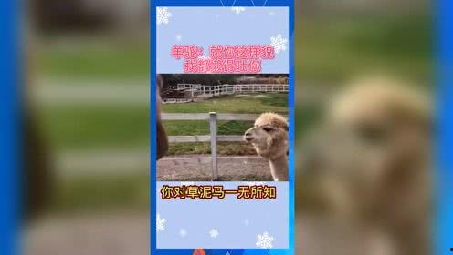 吃瓜娱乐频道官网入口,畅享热门资讯，轻松掌握娱乐圈动态